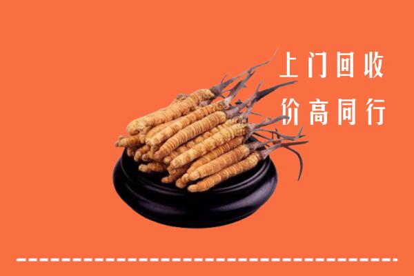 附近收购：新和县冬虫夏草回收多少钱每克